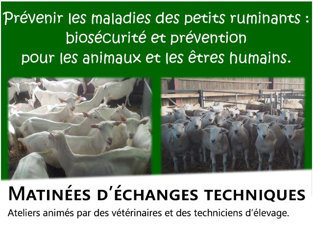 Illustration de l'actualité